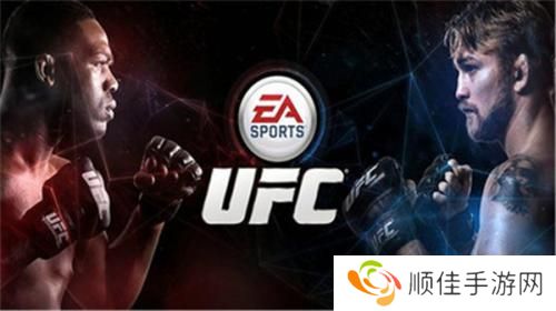 ufc终极格斗冠军赛